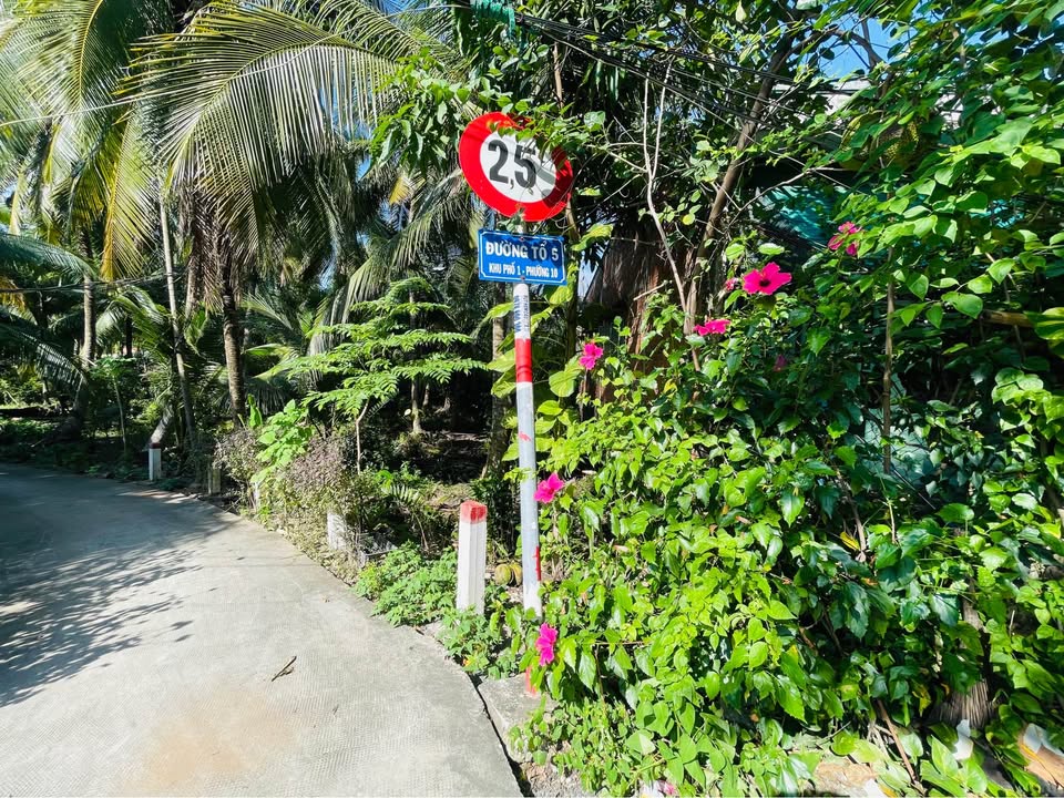 Đất vườn Gò Vấp 600m² giá 1.4 tỷ - Đường xe hơi vào tận nơi!