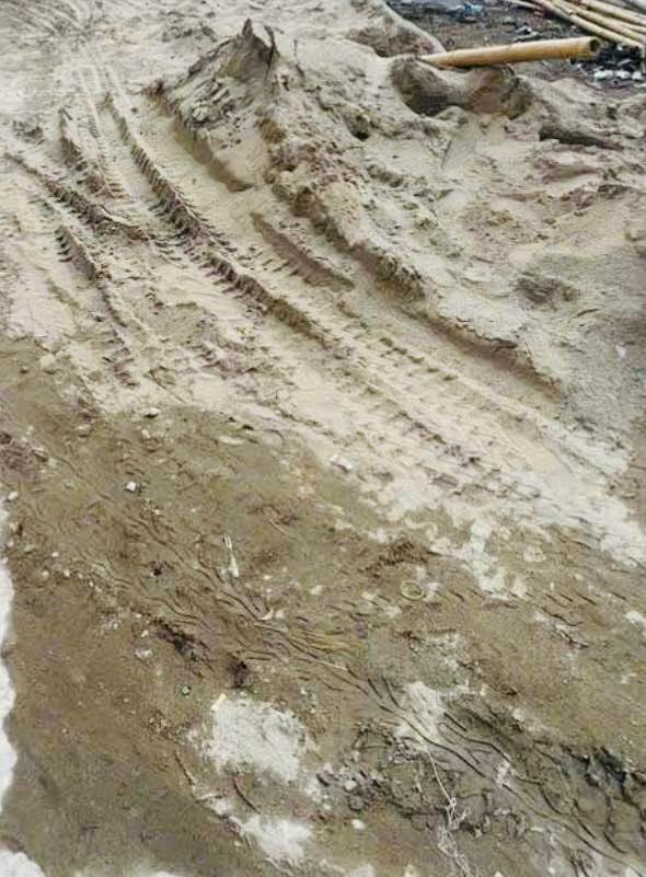 Đất nền lô góc đường Mỹ Xá, Nam Định 47m² giá 1.35 tỷ - Ô tô vào tận đất!