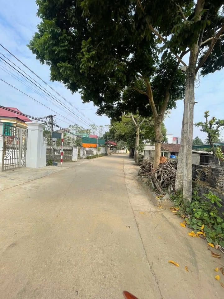 Đất nền Phú Lộc Nho Quan 220m² - Đường thông tứ phía, dân cư đông đúc!