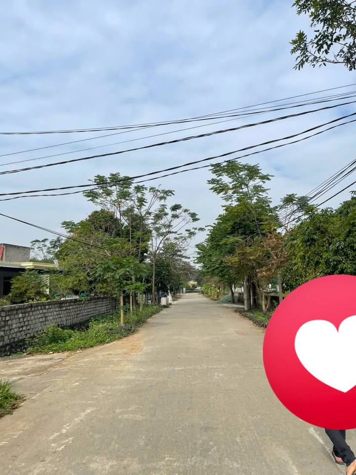 Đất thổ cư Văn Phú Nho Quan 600m² giá 500 triệu - Cơ hội đầu tư hiếm có!