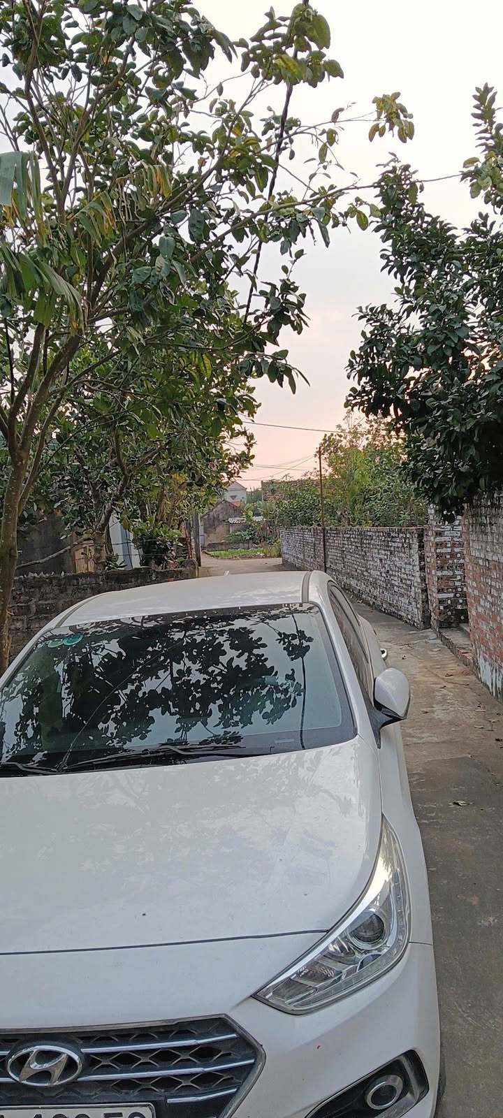 Đất thổ cư Khánh Cư Yên Khánh 200m² - Giá thỏa thuận hấp dẫn!