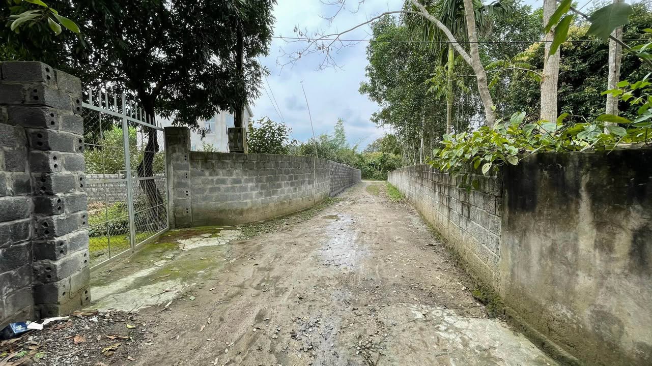 Đất nền An Bình Lạc Thủy 8400m² giá 8.4 tỷ - Cơ hội đầu tư tuyệt vời!