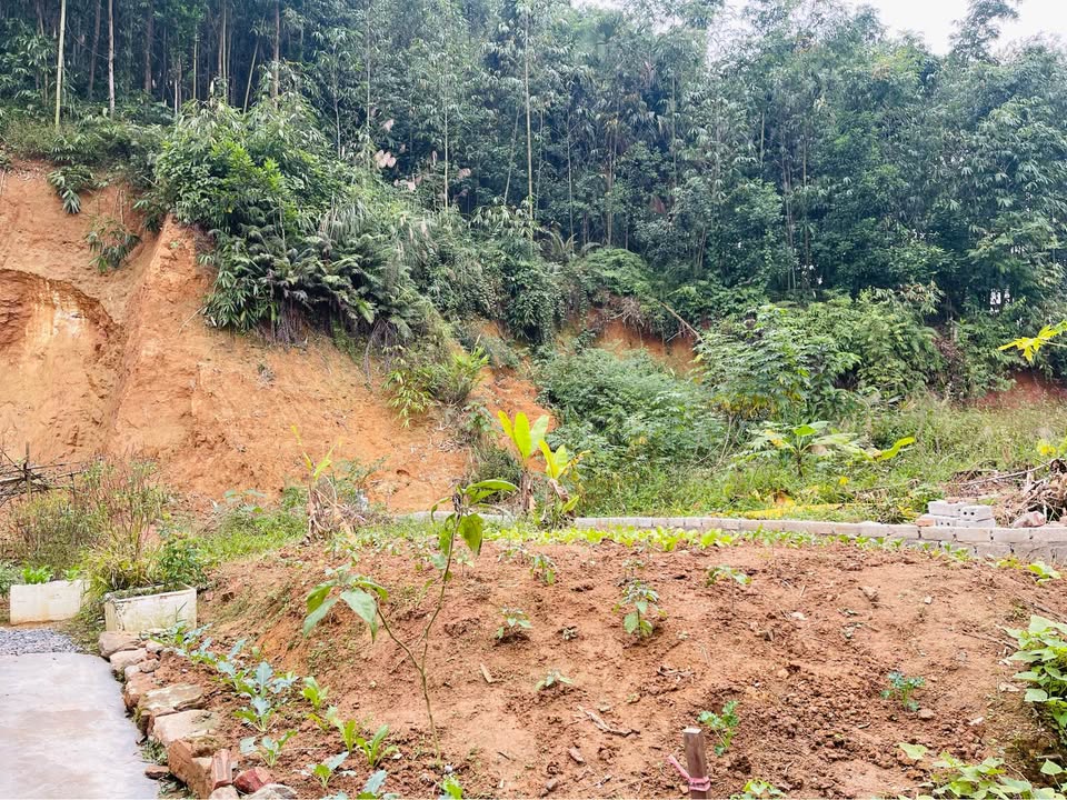 Đất nền trung tâm KM5 Yên Bái 78m² giá 700 triệu - Cơ hội đầu tư hiếm có!