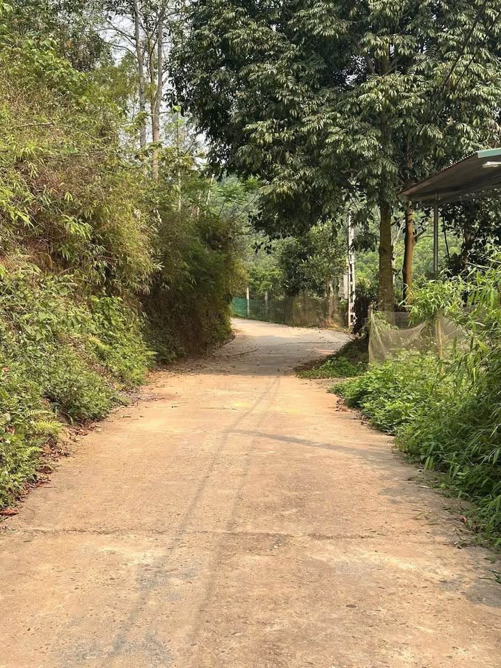 Đất thổ cư Kim Phú 300m² giá 1 tỷ - Sổ đỏ chính chủ, tách sổ dễ dàng!