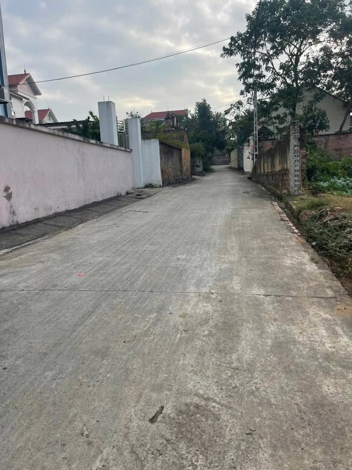 Đất thổ cư TDP Núi, phường Tân An, 122m² giá thỏa thuận - Cơ hội vàng đầu tư!