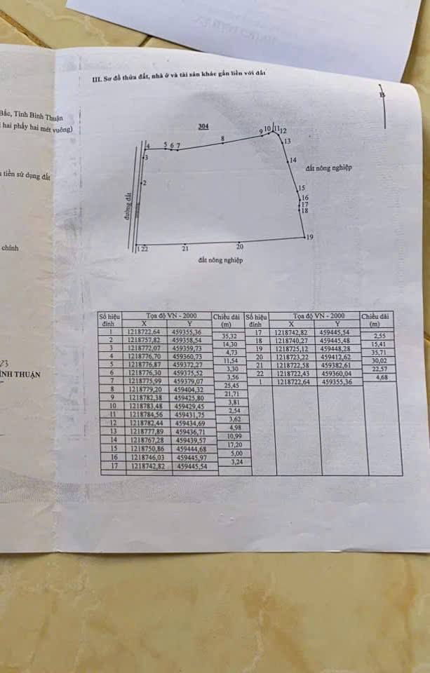 Đất nền thôn Hội Nhơn, xã Hàm Chính 4700m² - Đường ô tô rộng, giá chỉ 350 triệu