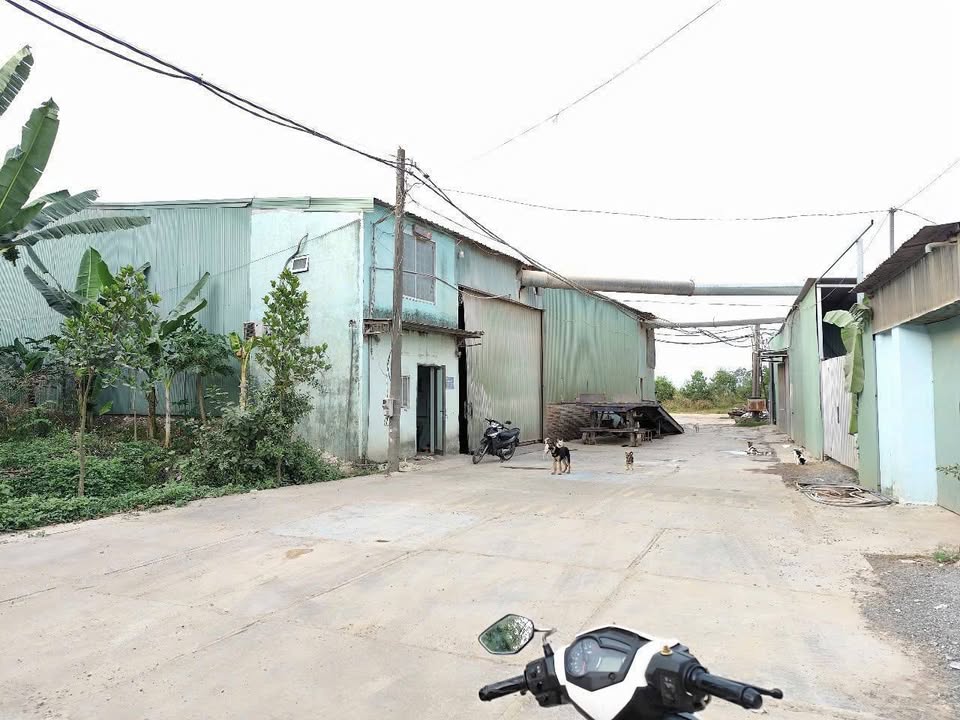 Đất thổ cư Hố Nai 1432m² giá chỉ 3 tỷ - Cơ hội đầu tư tuyệt vời!