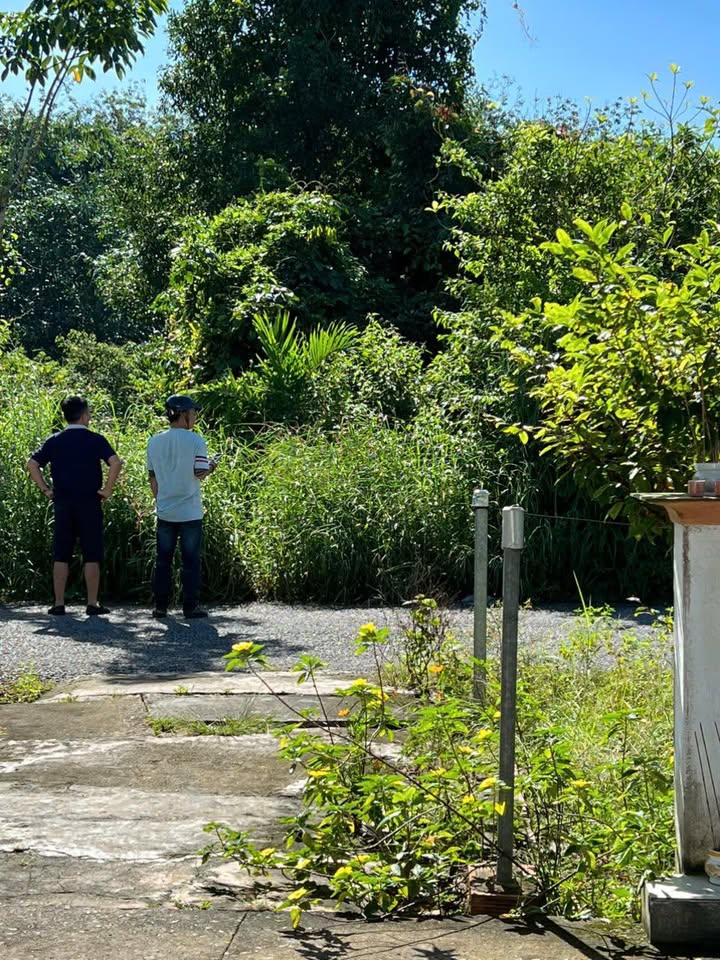 Đất nền Chánh Phú Hòa, Bến Cát 60m² - Cơ hội đầu tư hấp dẫn!