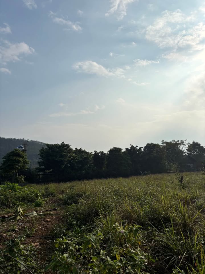 Lô đất Vân Hoà 1440m² giá thỏa thuận - View thoáng mát lý tưởng