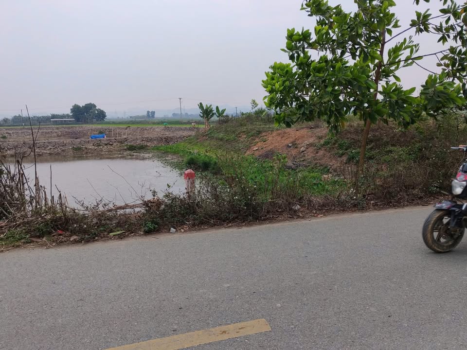 Đất nền kinh doanh xã Thanh Sơn, Nho Quan 210m² giá chỉ 1.4 tỷ - Cơ hội đầu tư hấp dẫn!