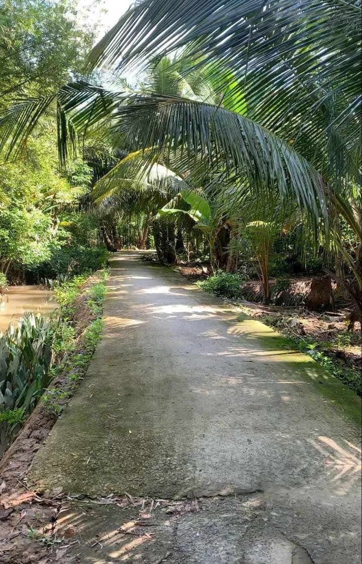 Bán Đất + Nhà cấp 4 tại An Hội, Vĩnh Long 727m² - Giá chỉ 850 triệu, thương lượng!