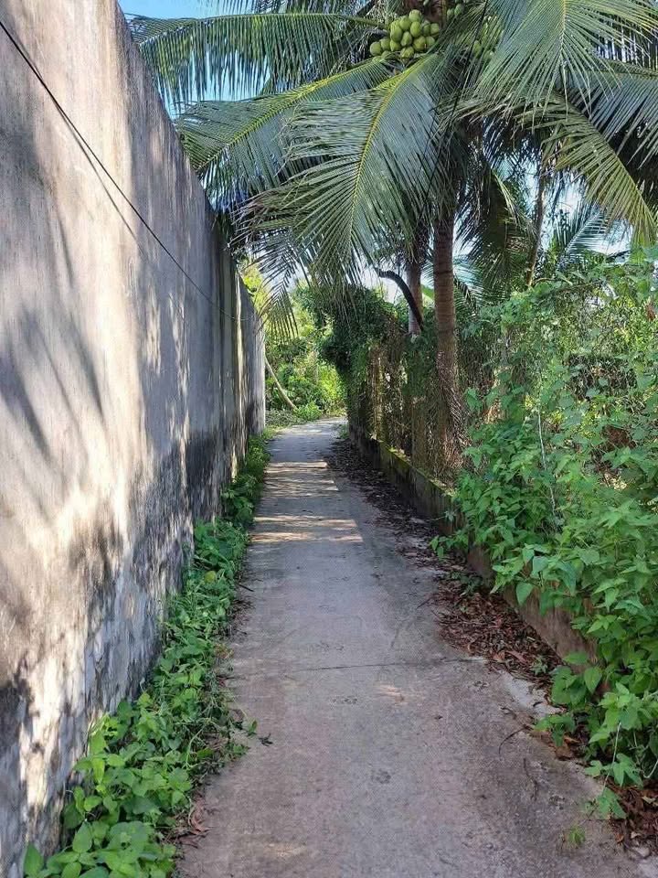 Đất nền An Hiệp Châu Thành 176m² giá 640 triệu - Cơ hội đầu tư tuyệt vời!