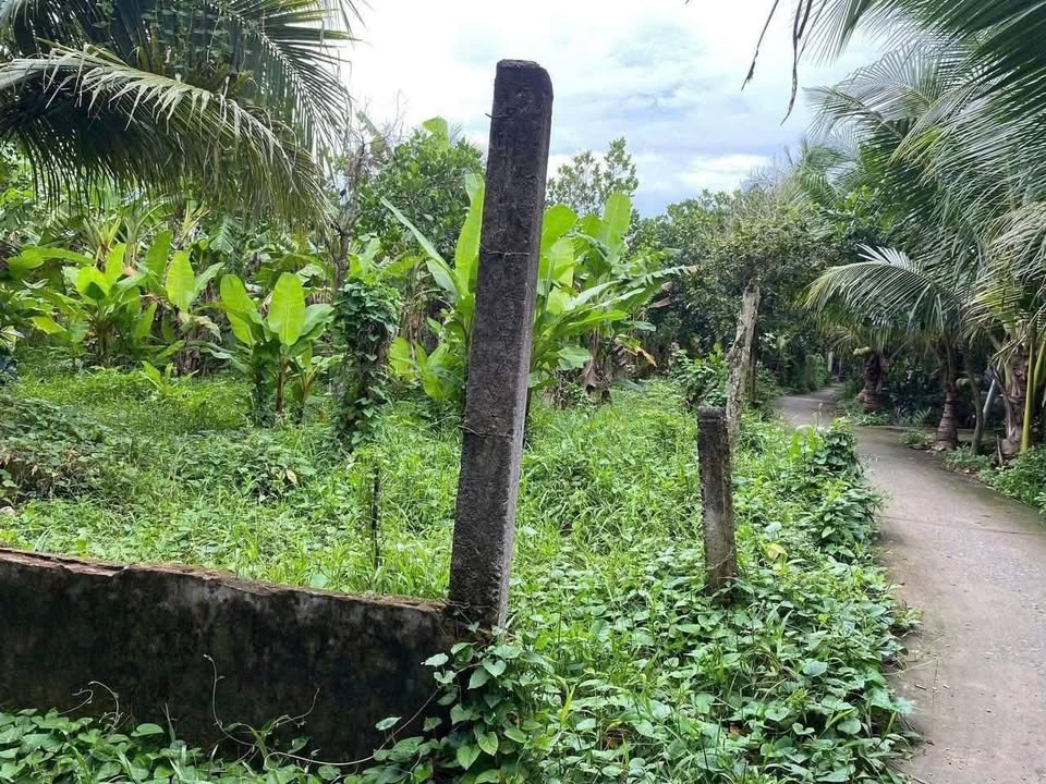 Đất nền góc 2 mặt tiền tại xã Quới Sơn, Châu Thành, Bến Tre 335m² giá 590 triệu - Đầu tư sinh lời cao!