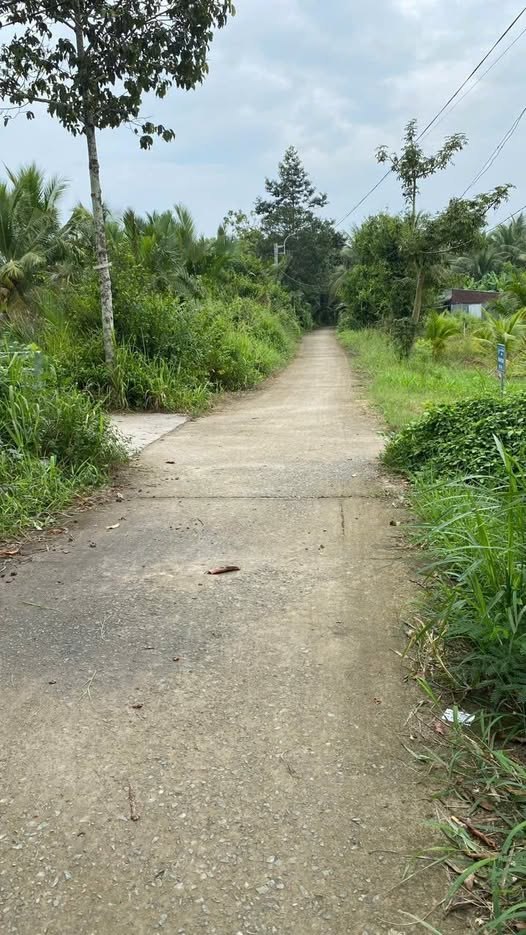 Đất nền 500m² Phường Phú Tân, Châu Thành - Giá chỉ 500 triệu!