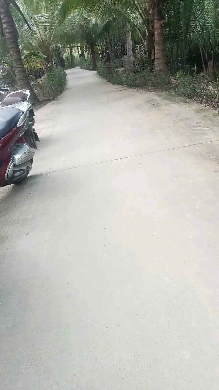 Đất nền 908m² xã Long Mỹ, Giồng Trôm - Giá 650 triệu, sổ đỏ chính chủ!