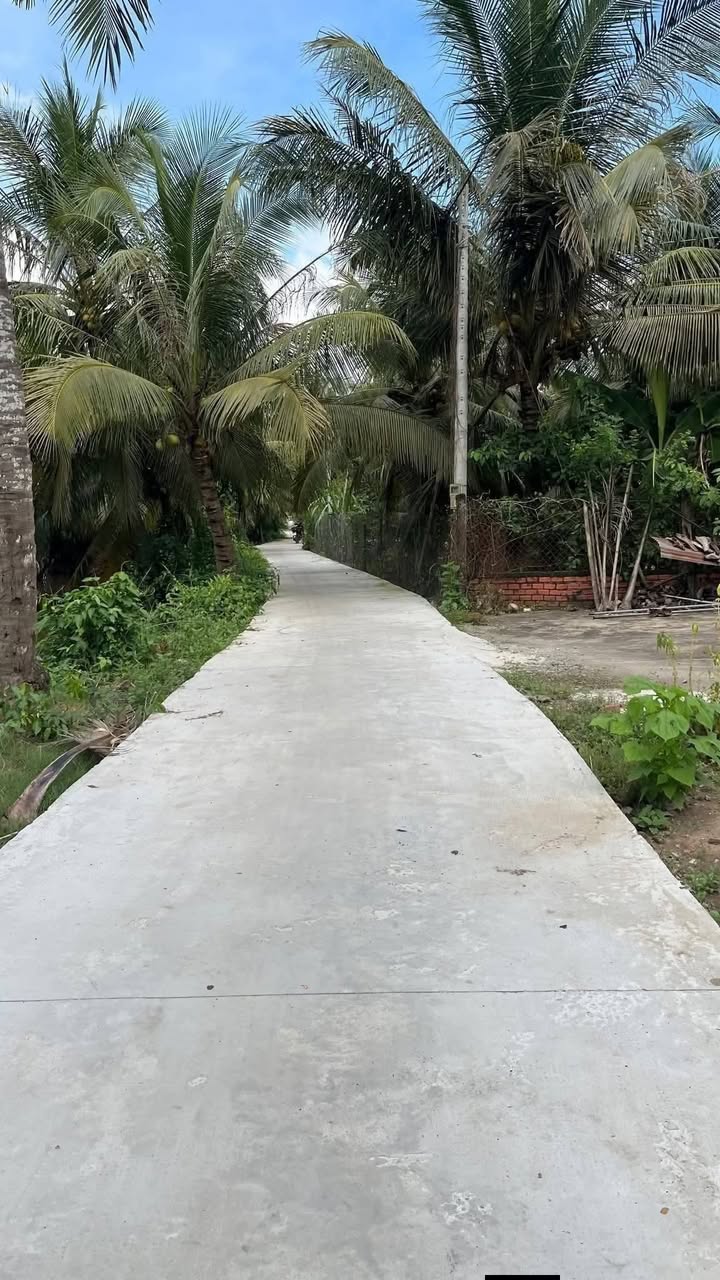 Đất vườn dừa xã An Ngãi Trung, Ba Tri, Bến Tre 2200m² giá 924 triệu - Cơ hội đầu tư tuyệt vời!