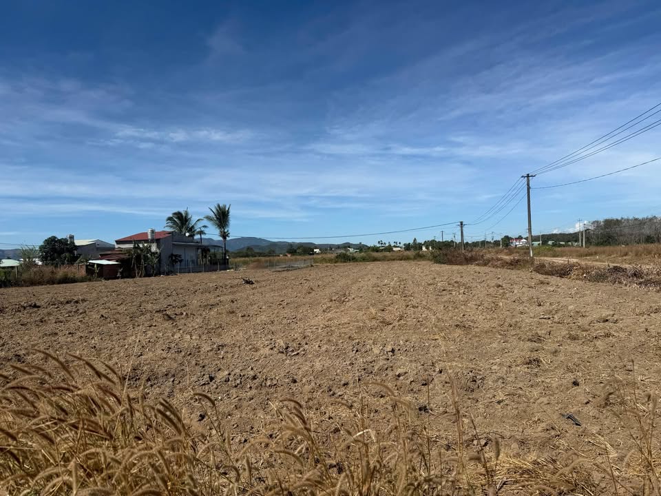 Đất nền Đường số 1, Đắk Hring 250m² giá thương lượng - Cơ hội đầu tư sinh lời!