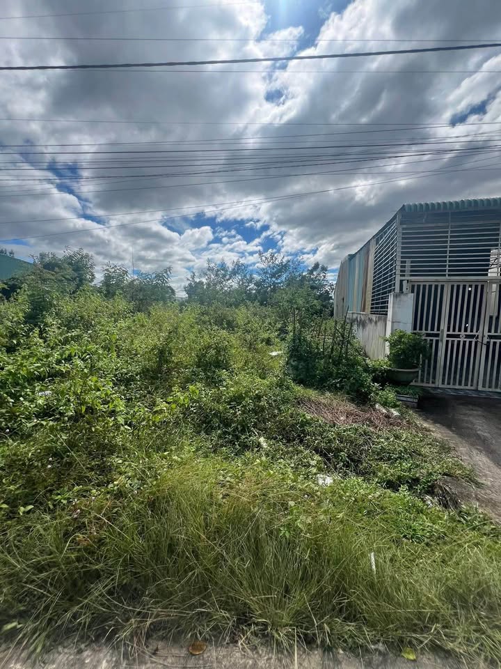 Đất thổ cư 265m² tại Đăk Cấm, giá chỉ 6xx triệu - Cơ hội đầu tư tuyệt vời!