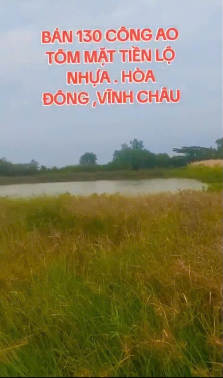 Farm Hòa Đông Vĩnh Châu 130.000m² giá 910 triệu - Cơ hội đầu tư hấp dẫn!