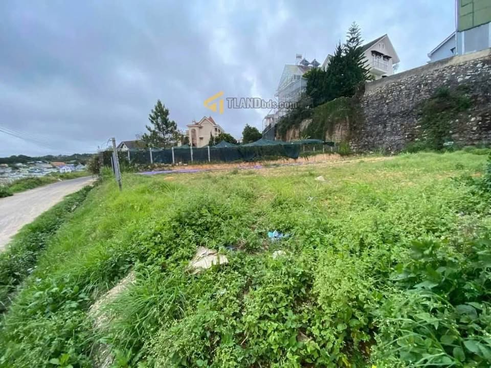 Đất mặt tiền đường Phù Đổng Thiên Vương, Đà Lạt 540m² - Sổ riêng chính chủ!