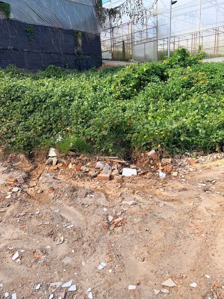 Đất nền hẻm Võ Trường Toản, Đà Lạt 62m² giá 670 triệu - Đầu tư sinh lời ngay!