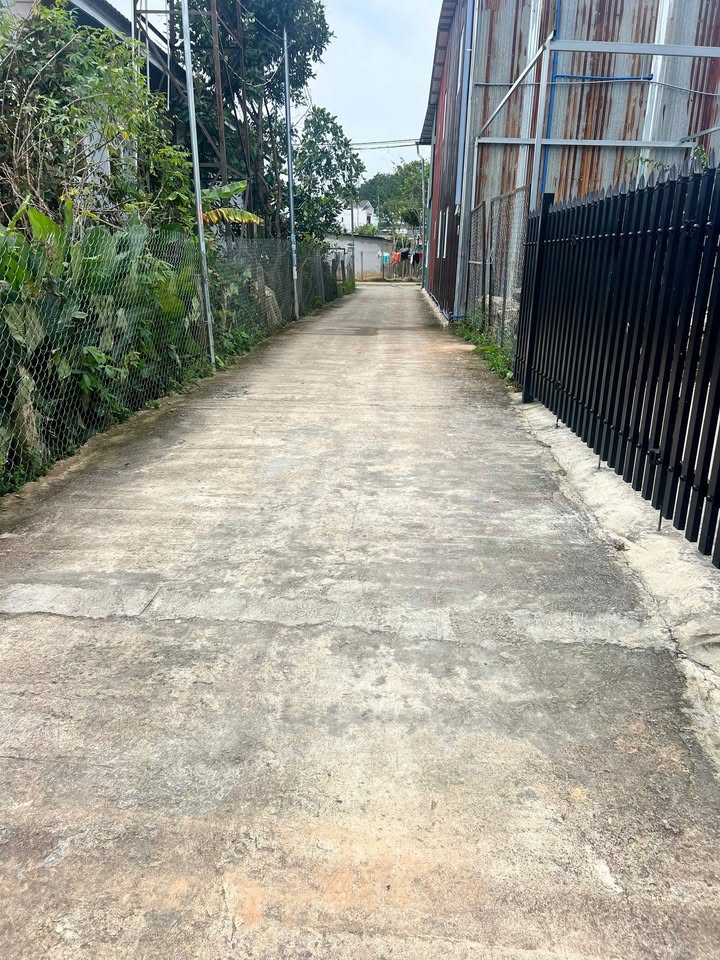 Đất thổ cư 94m² tại phường Lang Biang, Đà Lạt giá chỉ 2.399 tỷ - Cơ hội đầu tư tuyệt vời!