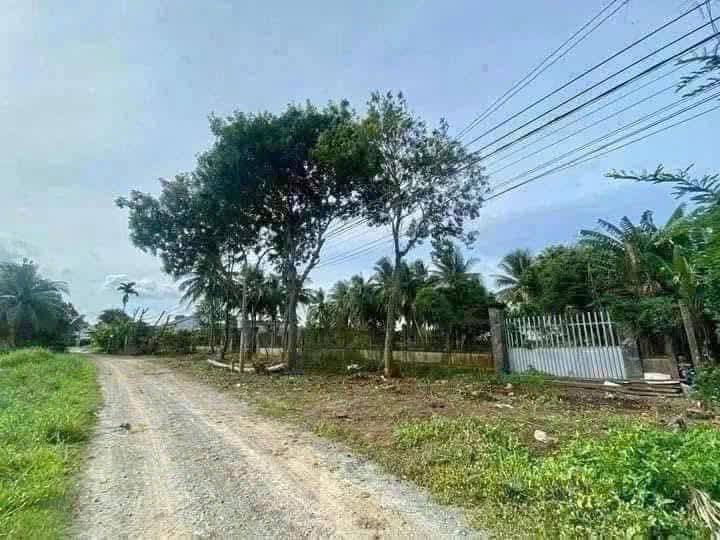 Đất thổ cư 6000m² mặt tiền Quách Văn Tuấn, Tân An - Giá chỉ 35 tỷ thương lượng!