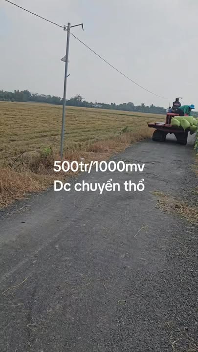 Đất lúa 1000m² Thủ Thừa, Long An giá 500 triệu - Cơ hội đầu tư tuyệt vời!