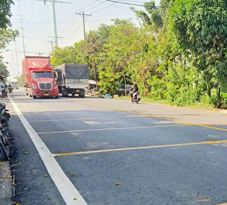 Đất nền 2 mặt tiền đường Thanh Niên, xã Xuân Thới Sơn, 4235m² - Vị trí đắc địa, cơ hội đầu tư tuyệt vời!