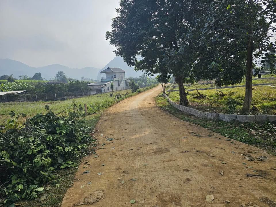 Đất nền Tân Phong, Cao Phong, Hòa Bình 141m² chỉ 200 triệu - Cơ hội đầu tư tuyệt vời!