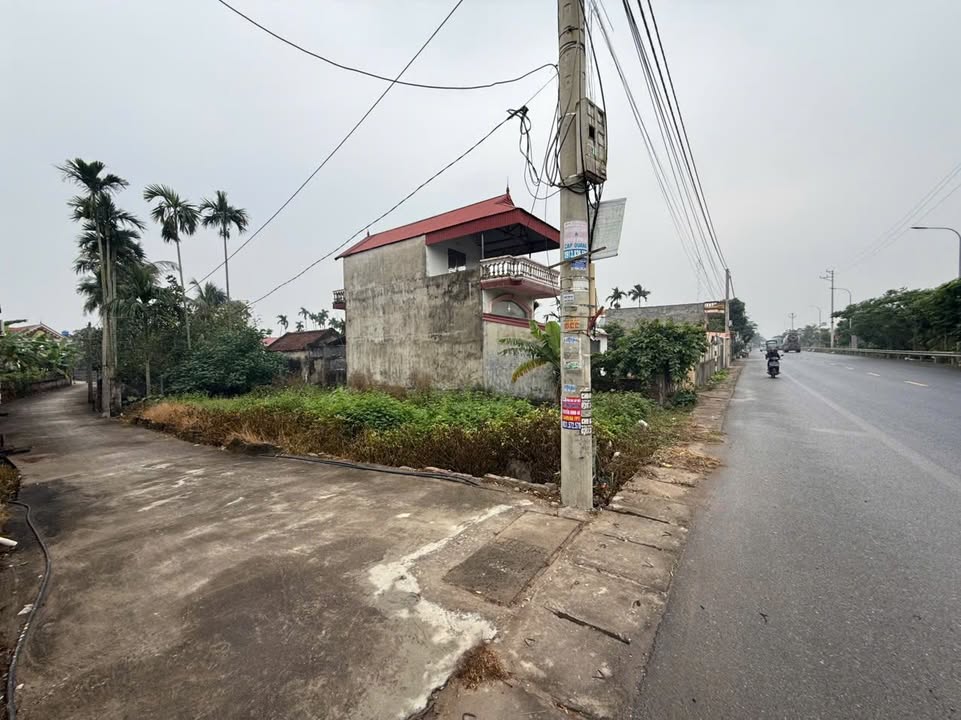 Đất mặt đường lớn Thôn Bắc Phong, Tiên Lãng, 160m² giá 4 tỷ - Đầu tư sinh lời ngay!