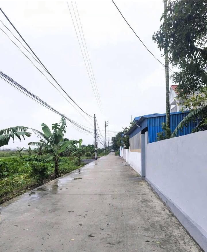 Đất liền kề TDP Lộng Đồng, Trường Thi 47m² giá chỉ 700 triệu - Cơ hội đầu tư tuyệt vời!