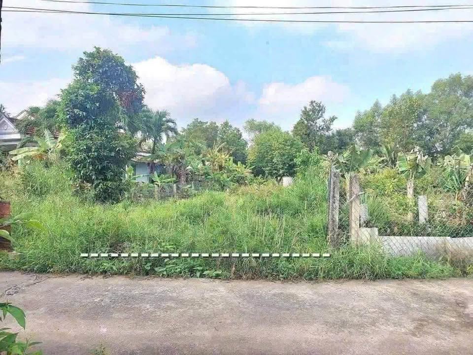 Đất thổ cư hẻm Nguyễn Thông, Tân An 270m² chỉ 950 triệu - Cơ hội đầu tư lý tưởng!