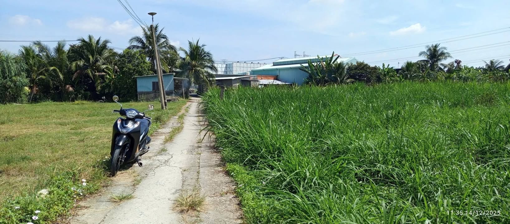 Đất mặt tiền hẻm ô tô Châu Thành Long An 2000m² giá 3.2 tỷ - Cơ hội đầu tư tuyệt vời