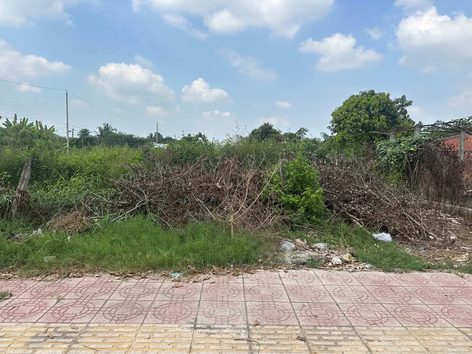 Đất nền mặt tiền đường Châu Thị Kim, Tân An 846.5m² giá 13.5 tỷ - Cơ hội đầu tư hấp dẫn!