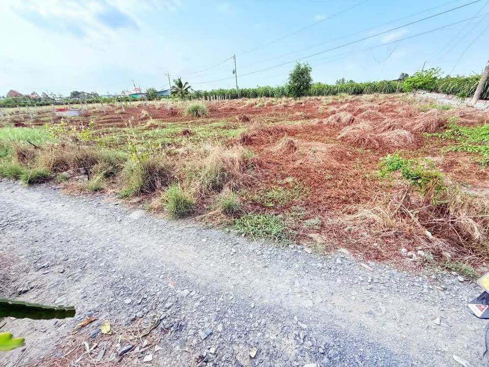 Đất nền 1000m² xã Tầm Vu, Tây Ninh - Sổ đỏ chính chủ, Giá 650 triệu