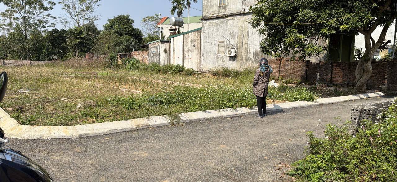 Đất thổ cư Bình Yên Thạch Thất 100m² giá 3.1 tỷ - Cơ hội đầu tư tuyệt vời!