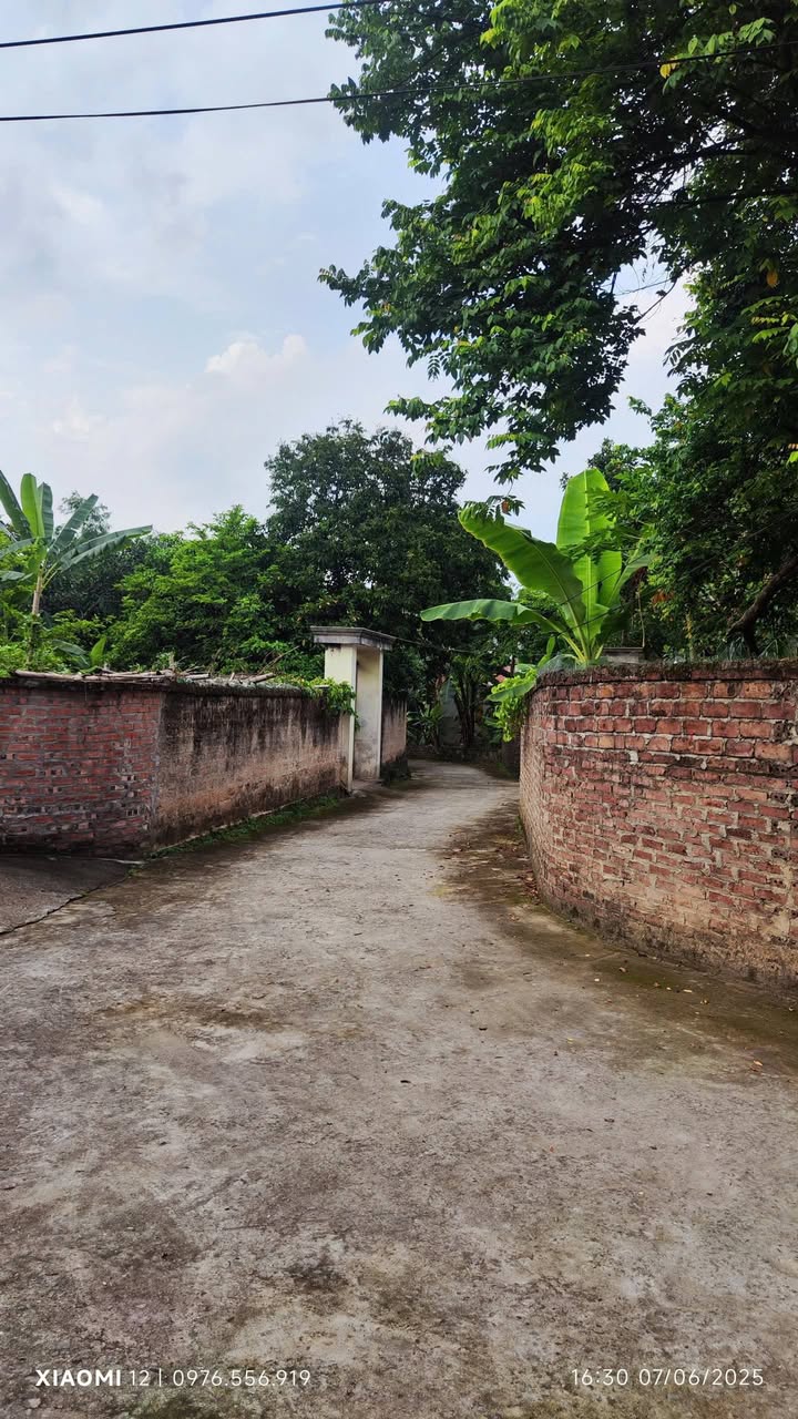 Đất nền phường Âu Cơ, Phú Thọ 150m² giá 600 triệu - Cơ hội đầu tư không thể bỏ lỡ!