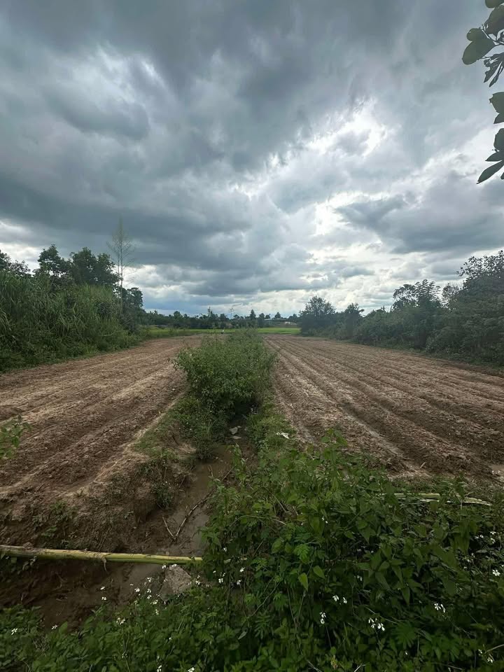 Đất nông nghiệp N'Thôn Hạ 7200m² giá 800 triệu - Sổ đỏ chính chủ sẵn sàng!