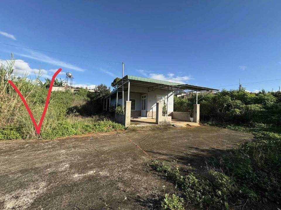 Đất nền chính chủ tại Phi Nôm, Hiệp Thạnh, Đức Trọng 162m² giá 1.6 tỷ - Thương lượng ngay!