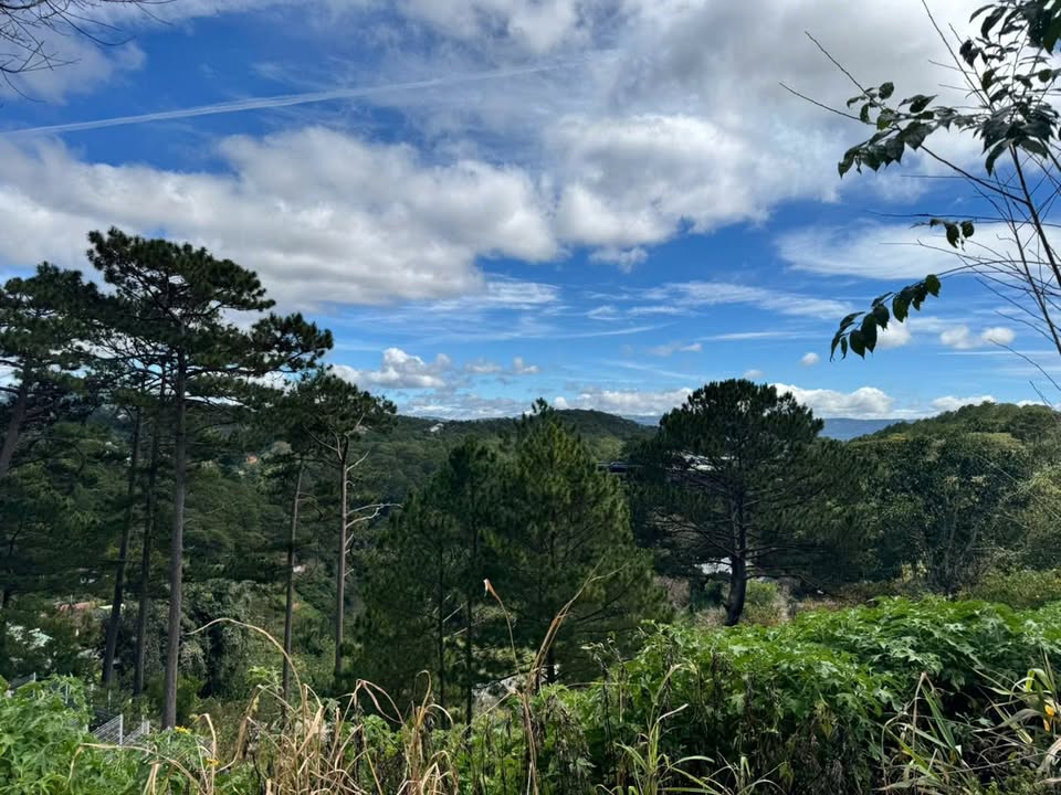 Đất nền Đà Lạt 1.091m² giá 35 tỷ - View đồi thông tuyệt đẹp!