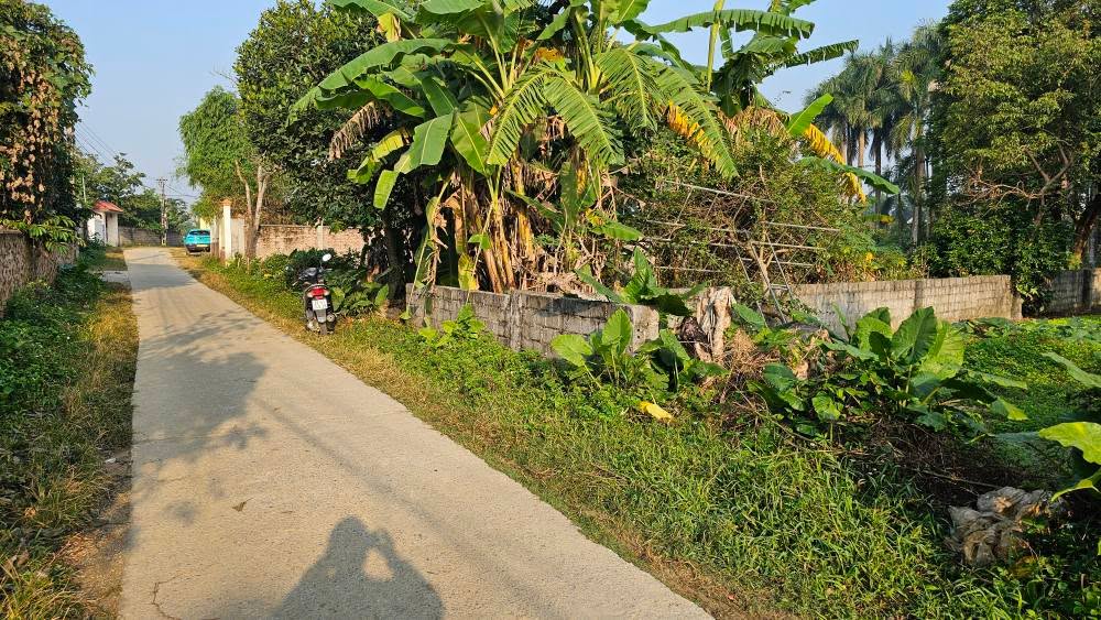 Đất thổ cư 383m² Nhuận Trạch, Lương Sơn - Giá chỉ 2 tỷ, đầu tư sinh lời!