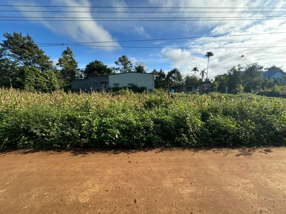 Đất thổ cư Cuôr Đăng 190m² giá 779 triệu - Chính chủ, sổ sẵn!