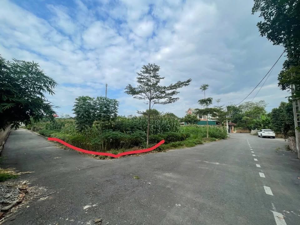 Đất nền Phúc Tiến 85m² giá thỏa thuận - Đầu tư sinh lời hấp dẫn!