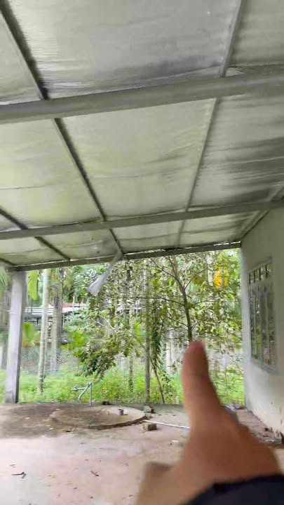 Nhà vườn biệt thự Nghĩa Hành 1000m² giá 1 tỷ - Sẵn sàng dọn vào ở ngay!