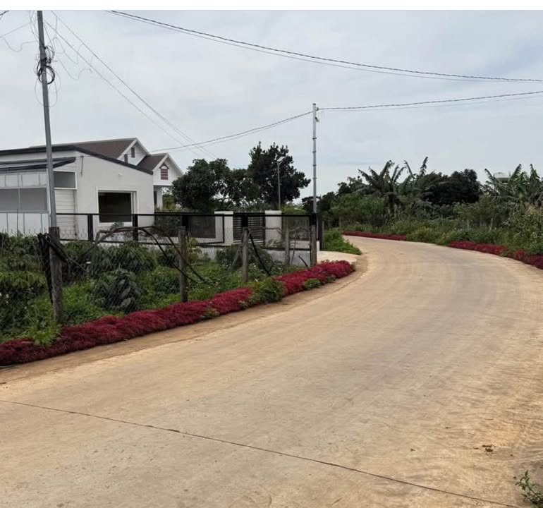 Đất thổ cư Hiệp Thạnh, Đức Trọng 470m² giá 3.3 tỷ - Vị trí đắc địa gần sân bay!