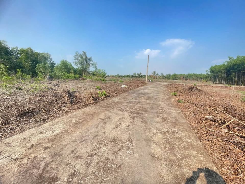 Đất thổ cư 65m² tại Long Thọ, Nhơn Trạch, Đồng Nai - Giá chỉ 1 tỷ VND!