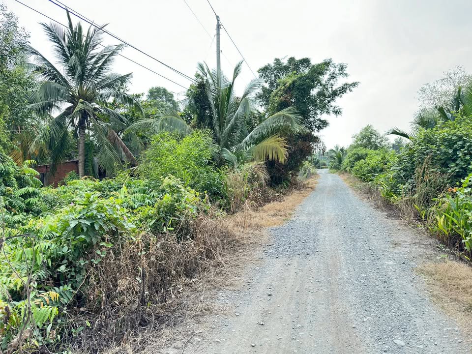 Đất vườn 2111m² tại Thạnh Lợi, Bến Lức, Long An - Giá 3.45 tỷ, 2 mặt tiền đường!