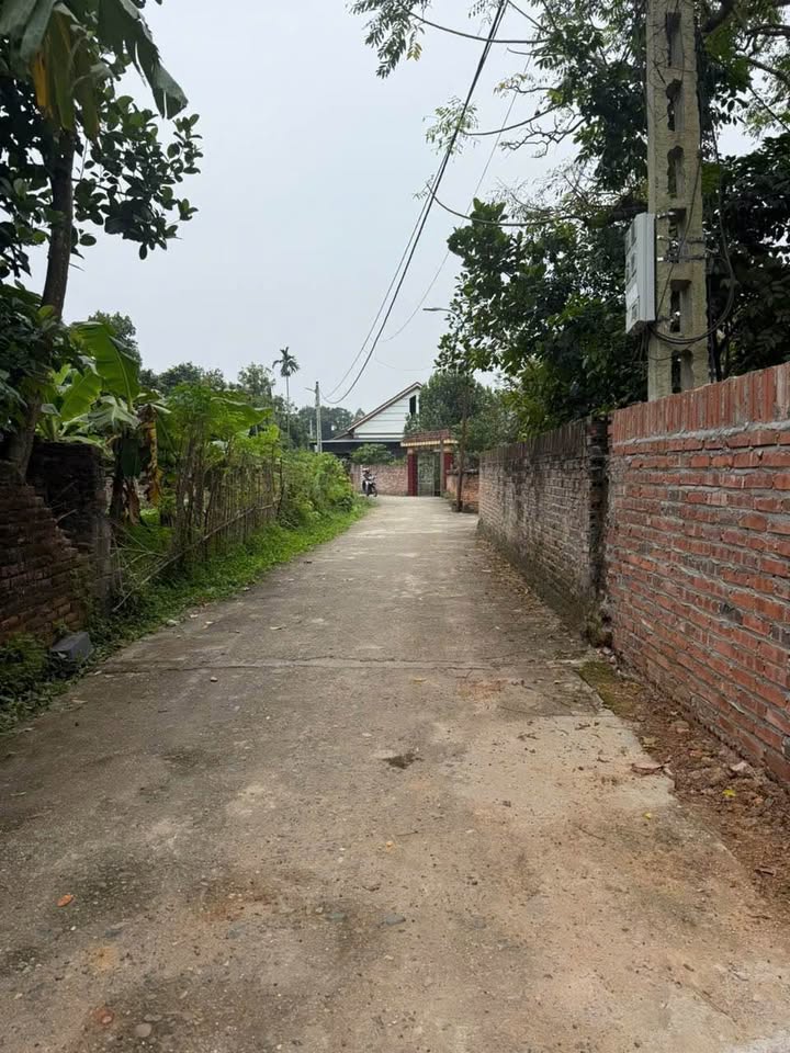 Đất thổ cư 110m² tại Chu Hóa, Việt Trì - Sổ đỏ chính chủ, giá 1.3 tỷ!