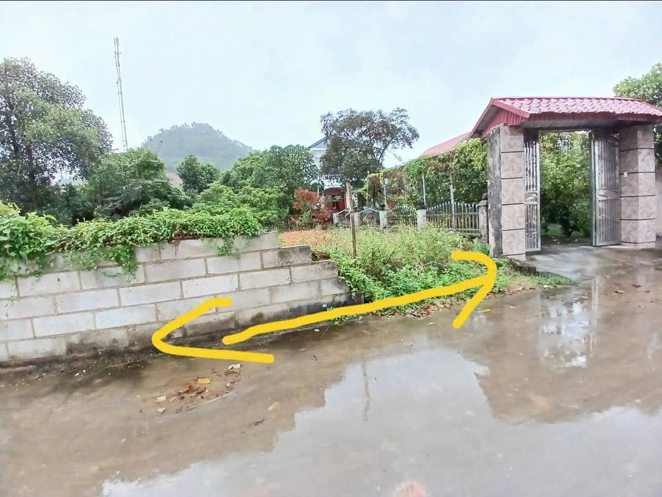 Đất nền Tự Lạn, Việt Yên 213m² giá 2 tỷ - Cơ hội đầu tư không thể bỏ lỡ!